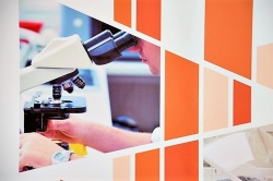 Ocena jakości i efektywności wdrażania POWER